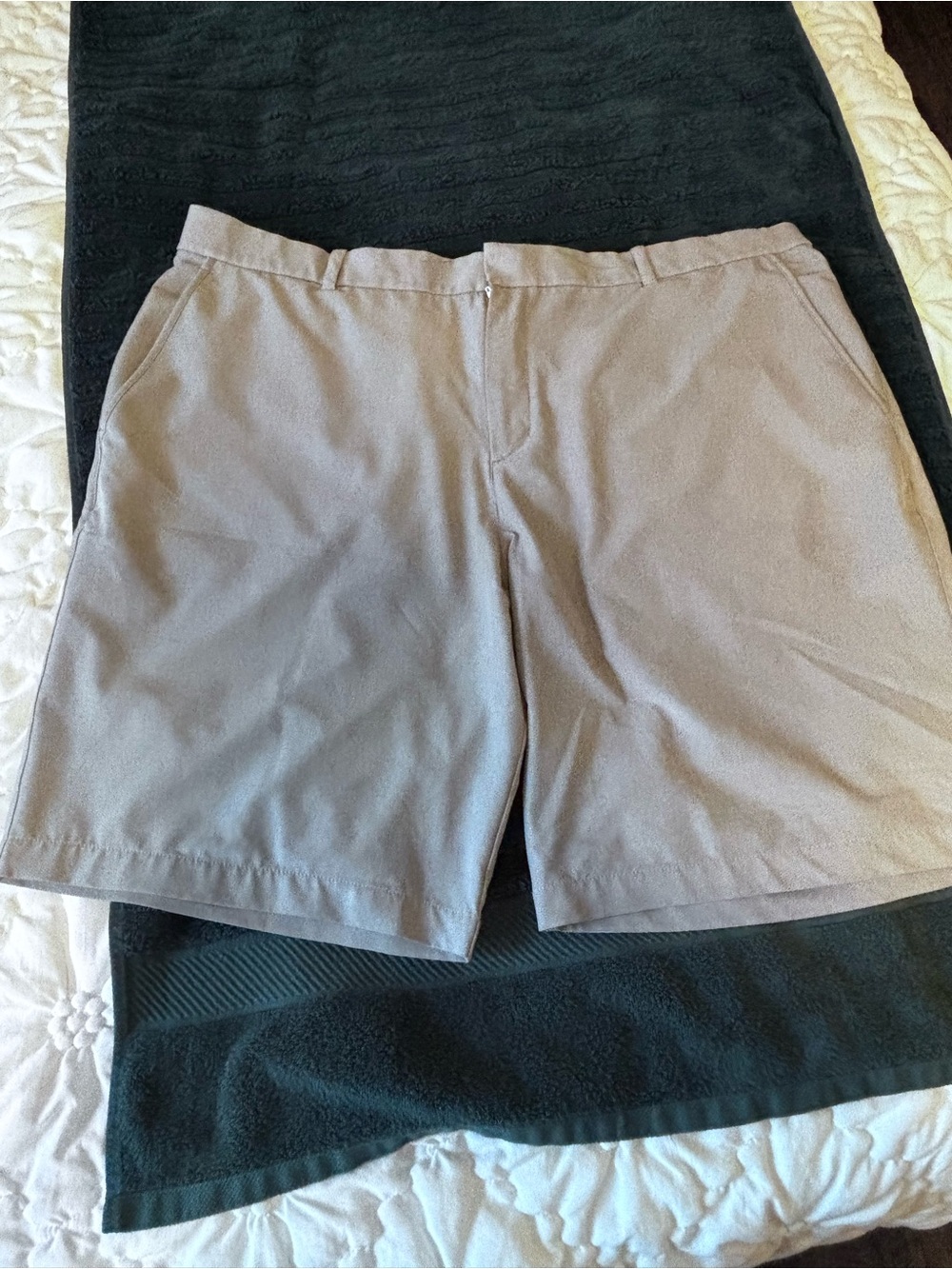 Nike Men's Light Gray Flat-Front Shorts